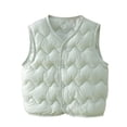 thumbnail image 1 of fatyb Toddler Boys Girls Padded Vest Sleeveless Lightweight Winter Coat V Neck Button up Down Jacket, 1 of 5