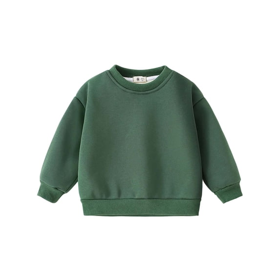 fatyb Toddler Boys Girls Sweatshirt Fleece Lined Crewneck Pullover Warm Fall Winter Clothes for Kids