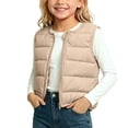 thumbnail image 1 of fatyb Toddler Puffer Vest Winter Full Zip Lightweight Outerwear Sleeveless Boys Girls Quilted Jacket, 1 of 6