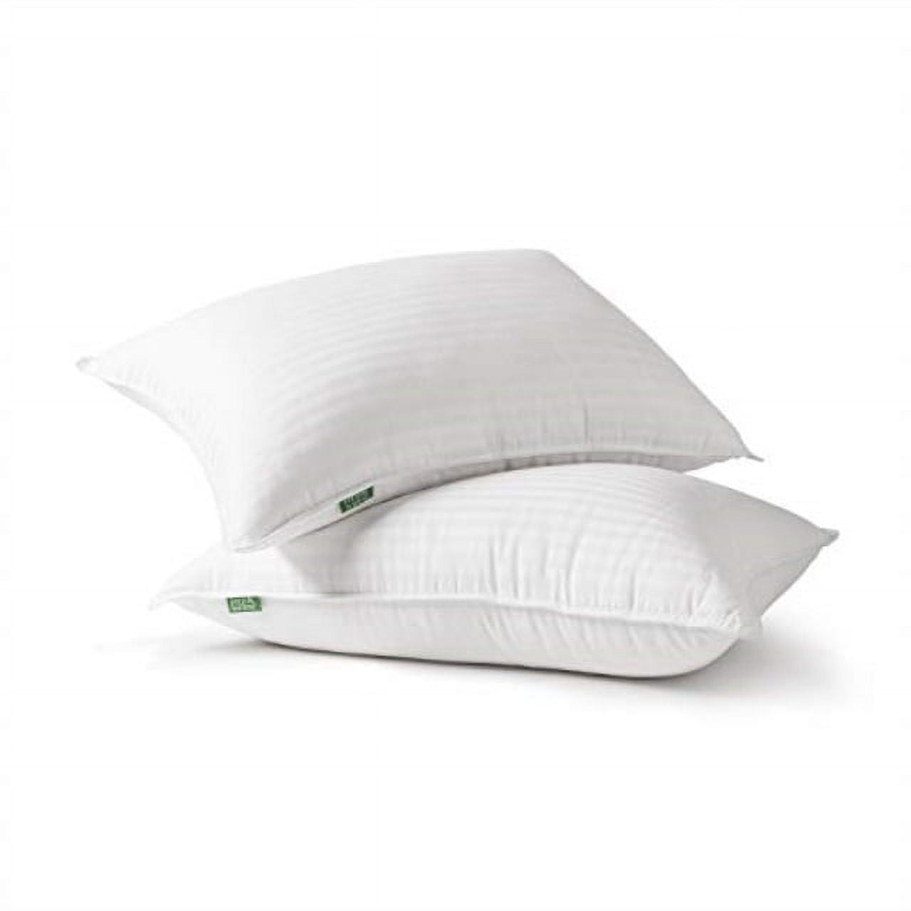 https://i5.walmartimages.com/seo/fern-and-willow-premium-loft-down-alternative-pillows-for-sleeping-2-pack-luxury-gel-plush-pillow-queen_8830f593-01eb-4456-95fe-acb5681b61eb.2fed6b6ad1e2767f116888135582c1c1.jpeg