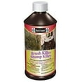 thumbnail image 1 of Ferti-Lome Stump And Brush Killer - Liquid Herbicide - 16 oz Bottle, 1 of 1