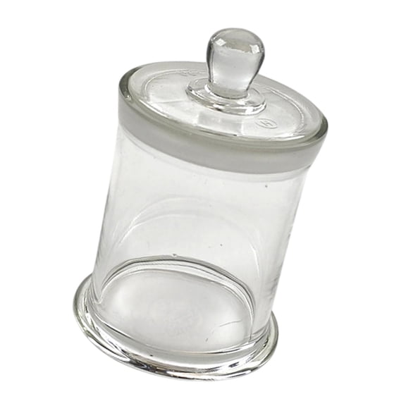 figatia Glass Staining Tank Chamber Slides Holder with Lid Accessory Versatile Professional Sample Container Lab Supplies 800ml