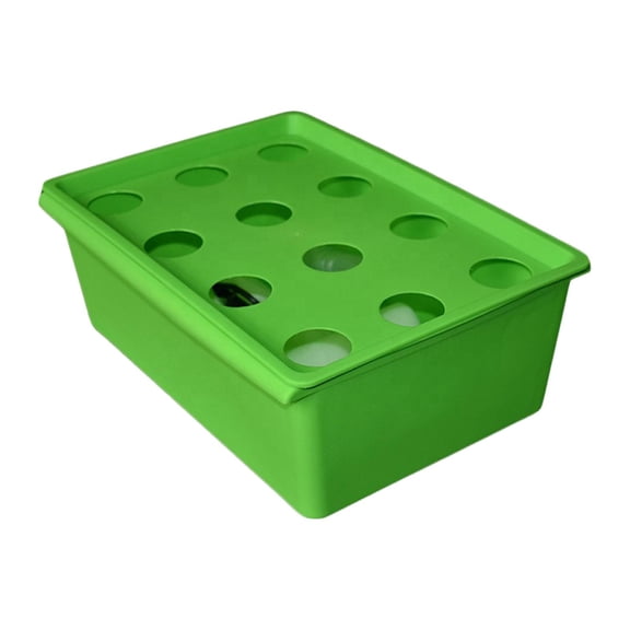 figatia Hydroponic System Growing Box 12 Holes Sturdy for Indoor Planting Vegetables