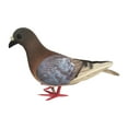 thumbnail image 1 of figatia Simulation Foam Pigeon Model Imitation Dust Miniature Statue Figure Residential Culture Realistic Pigeon Artificial Bird for Shelf Earthy Red, 1 of 8