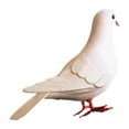 thumbnail image 1 of figatia Simulation Foam Pigeon Model Imitation Dust Miniature Statue Figure Residential Culture Realistic Pigeon Artificial Bird for Shelf White, 1 of 8