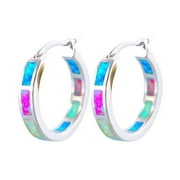 fimkaul Women's Stud Earrings Girls Round Jewelry Accessories Sensitive Ear Hypoallergenic Gemstone Gifts Pink