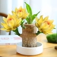 thumbnail image 1 of Lucky Brazilian wood desktop ornament, with base and mystery doll, unique home and office decorative item, modern desktop ornament (yellow)., 1 of 10