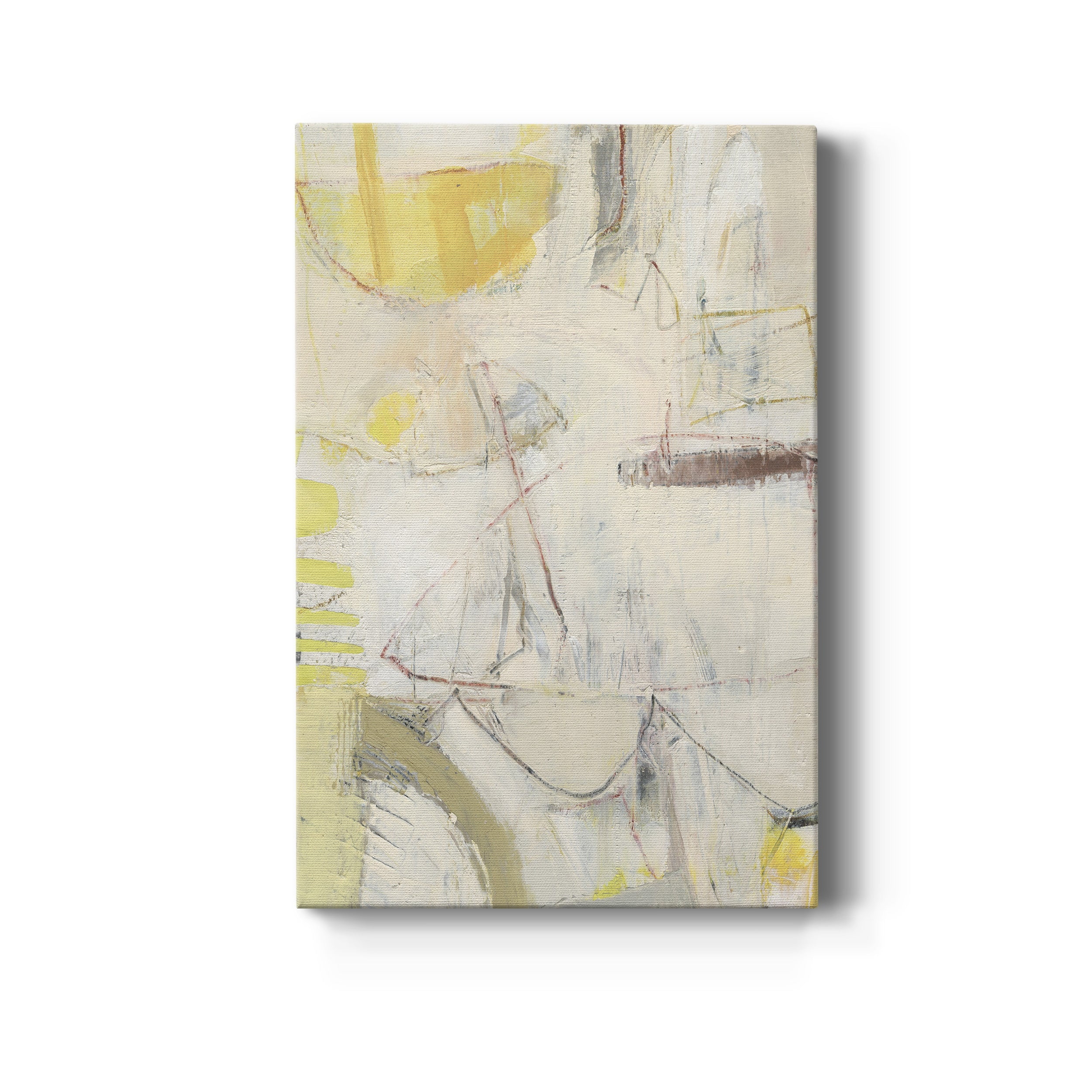 Fizgig IV Premium Gallery Wrapped Canvas - Ready to Hang