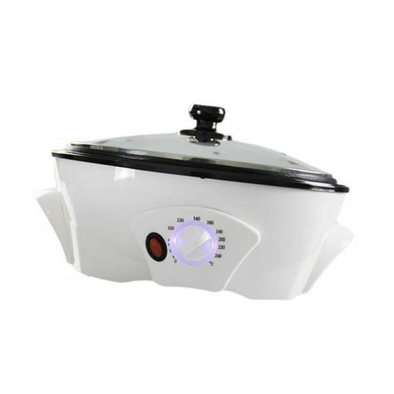flameer Coffee Bean Roaster Electric Coffee Beans Roaster for Shop Home Dried Fruits
