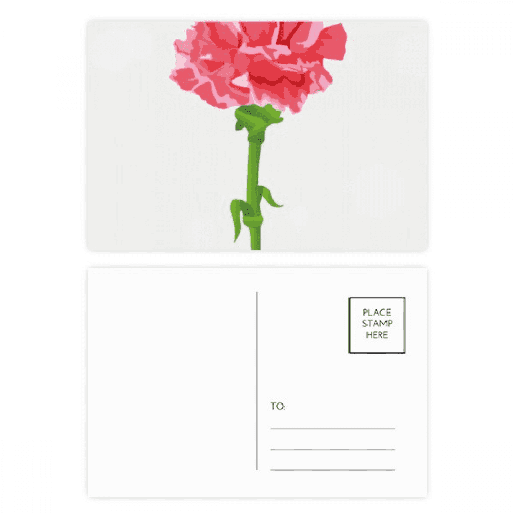 flower carnation postcard set birthday mailing thanks greeting card