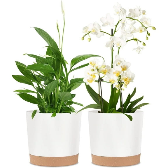 8 Inch Planters for Indoor Plants, Plastic Flower Pots Plant Pots Indoor with Drainage Saucer for Garden Home Plant, White 8”