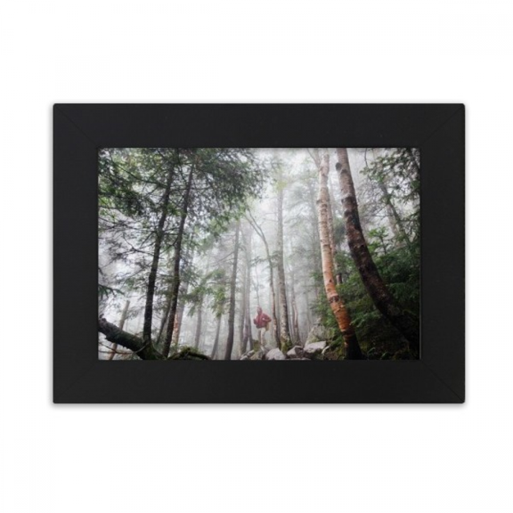 fog ry science nature scenery desktop photo frame ornaments picture art painting