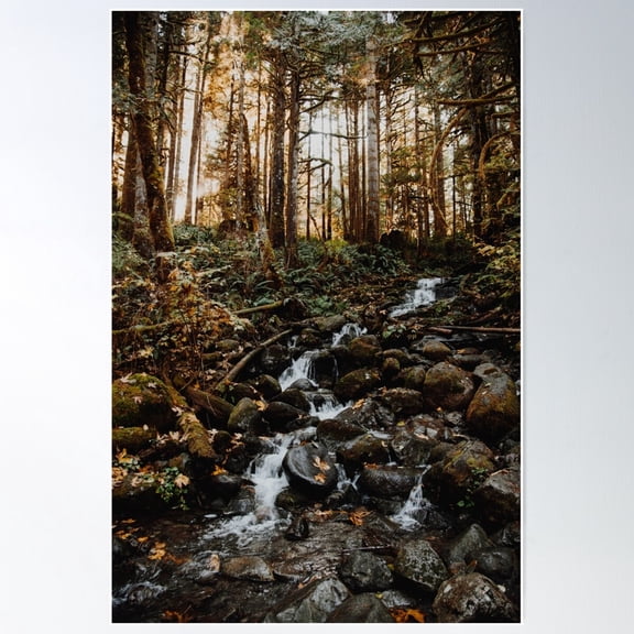 forest waterfall Poster, 8x12 UNFRAMED