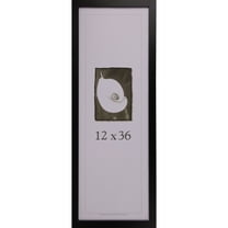 frame usa affordable black 12x36