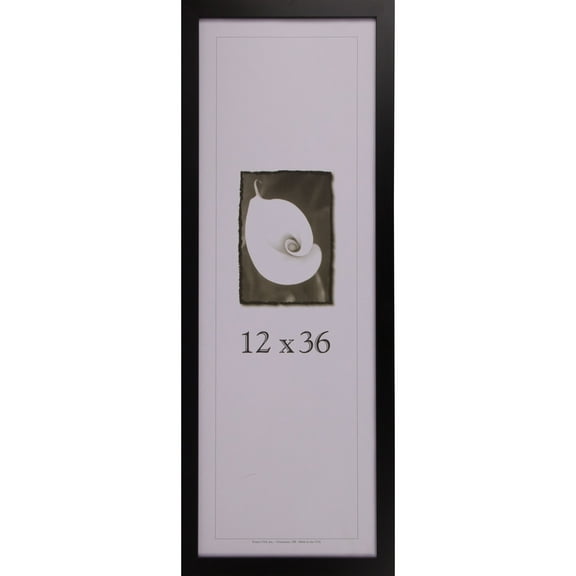 frame usa affordable black 12x36