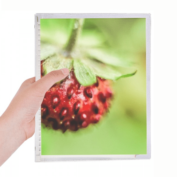 fresh berry picture nature photograph notebook loose diary refillable journal statiry