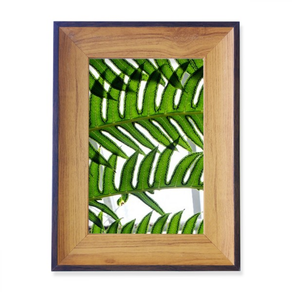 fresh picture nature photo frame exhibition display art desktop ...