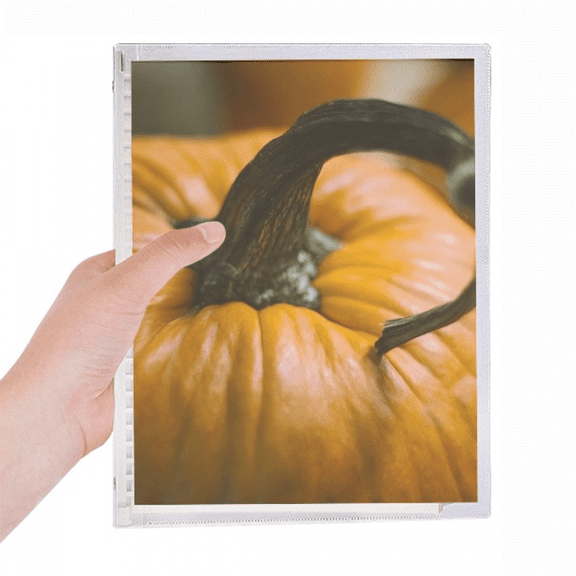 fresh pumpkin picture nature photograph notebook loose diary refillable journal statiry