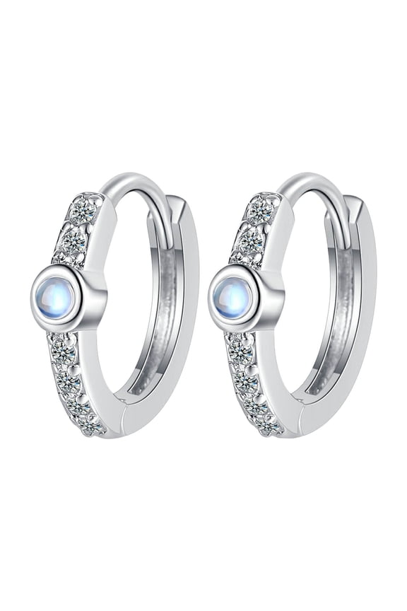 Earrings For Earrings 925 Plated Sparkling Lightweight Earring Valentine's Day Wedding Day Birthday For Bulk Earrings for Women Leather Earrings for Women Small Earrings for Women Door