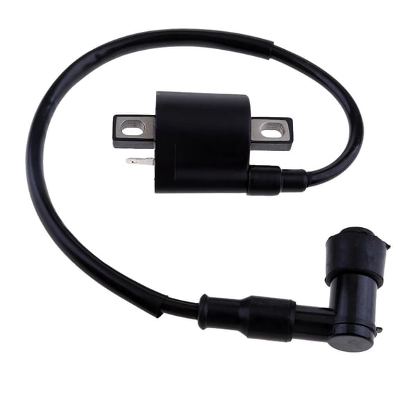 funtasica 1pc Motorcycle Ignition Coil Motors And Engine Parts Ignitions for Virago 250 Xv250 1995-2007 2005 2006