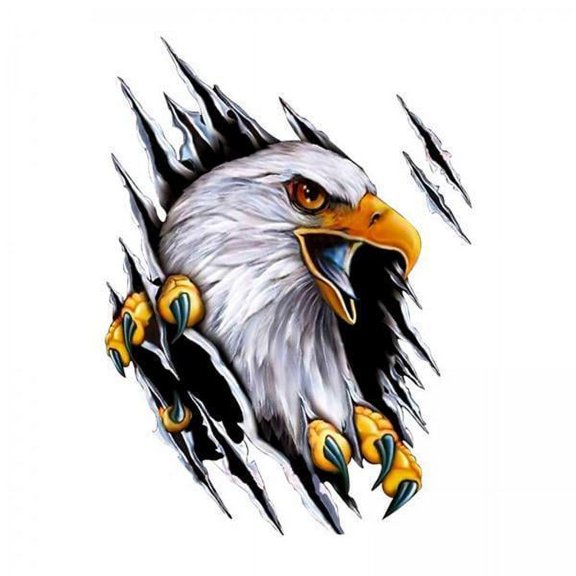 funtasica 2xEagle Car Sticker Decals Simulation Cartoon for Motorcycle Right , Right, 2 Pcs