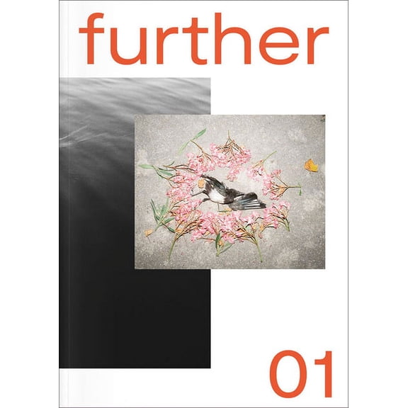 further 01 : Fotobus Society (Paperback)