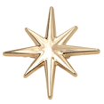 thumbnail image 1 of fuxzkrlz Alloy Eight-pointed Star Brooch Pin, Star Shape Decorative Jewelry, Clothing Accessory for Suits Coats Scarves Shawls Bags, 1 of 7