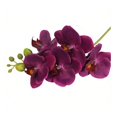 thumbnail image 1 of fuxzkrlz Real Touch Fake Orchids Flowers Faux Silk Artificial Phalaenopsis Flower with 5 Heads Blooms for Home Indoor Decor Office Tabletop Centerpiece Floral Arrangement, 1 of 7