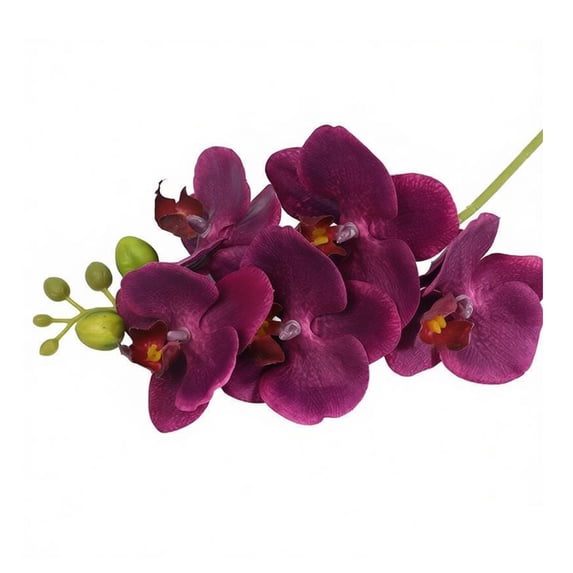 fuxzkrlz Real Touch Fake Orchids Flowers Faux Silk Artificial Phalaenopsis Flower with 5 Heads Blooms for Home Indoor Decor Office Tabletop Centerpiece Floral Arrangement