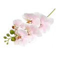 thumbnail image 1 of fuxzkrlz Real Touch Fake Orchids Flowers Faux Silk Artificial Phalaenopsis Flower with 5 Heads Blooms for Home Indoor Decor Office Tabletop Centerpiece Floral Arrangement, 1 of 6