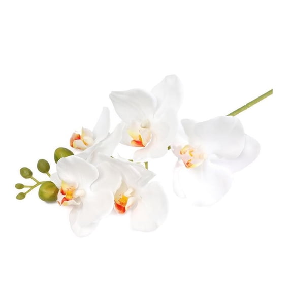 fuxzkrlz Real Touch Fake Orchids Flowers Faux Silk Artificial Phalaenopsis Flower with 5 Heads Blooms for Home Indoor Decor Office Tabletop Centerpiece Floral Arrangement