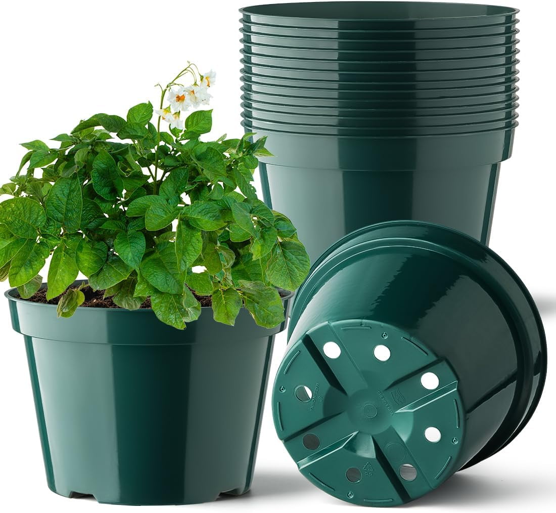 8 Inch Pot With Drainage