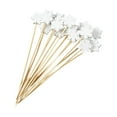 thumbnail image 1 of geerera 100pcs Christmas Fruit Picks, Snowflake Bamboo Sticks for Fruit Platters, Disposable Holiday Party Picks, for Fruit Decoration, Appetizer Display, Holiday Buffet, 1 of 6