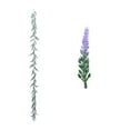 thumbnail image 1 of geerera 5.9 Ft Artificial Lavender Garland, Faux Floral Greenery for All Year Decor, Farmhouse Wedding Mantle Arch Porch Stair Table Door Decoration, 1 of 6