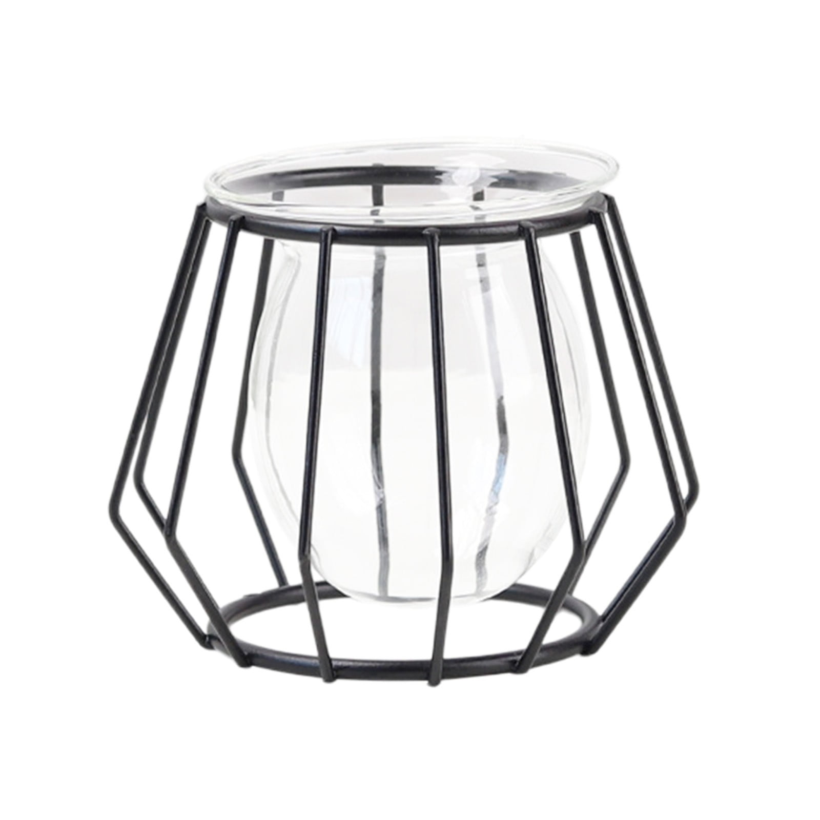 geerera Glass Vases with Geometric Metal Rack,Glass Hydroponic Vase ...