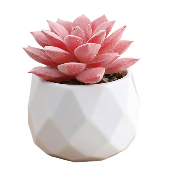 geerera Mini Artificial Succulent In Plastic Pots Fake Plants For Indoors Office Decor For Women Office Home Decor Gifts Faux Plant