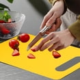 thumbnail image 1 of geerera Plastic Cutting Board with Handle, Non-Slip Kitchen Chopping Board for Fruits, Vegetables and Meat, Double-Sided Prep Board, 1 of 6