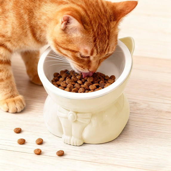 geerera Raised Cat Bowl, 15° Tilted Cat Food Bowl, Protect Cat's Spine Anti-Vomiting Feeding Dish for Cats, Kittens and Small Dogs