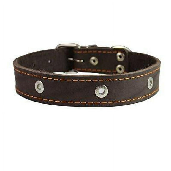 genuine leather studded dog collar, brown, 1.5 wide. fits 16-20 neck size amstaff