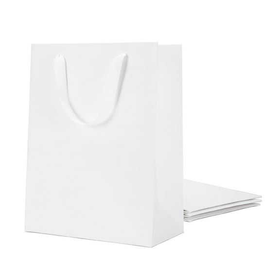 BAKIPACK 4Pcs 10x5x13 Inches Gift Bags With Handles Paper Gags Bulk For Party Shopping Wedding Birthday