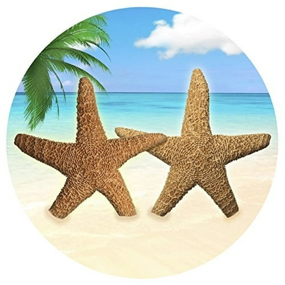 glass door & window repositionable sticker decal. 2 per package -shower doors, alert birds, dogs, kids, customers and guests. warn, protect, safety, removable, self adhesive, bird alert. (star fish)