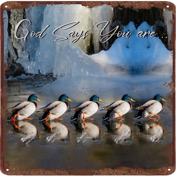 god says You are Duck Vintage Tin Sign - Inspirational Quote Sign - Psalms, Bible Verses, Scripture Wall Decor - Religious Encouragement Gifts - Home Living Room Office Posters 12x12 Inches