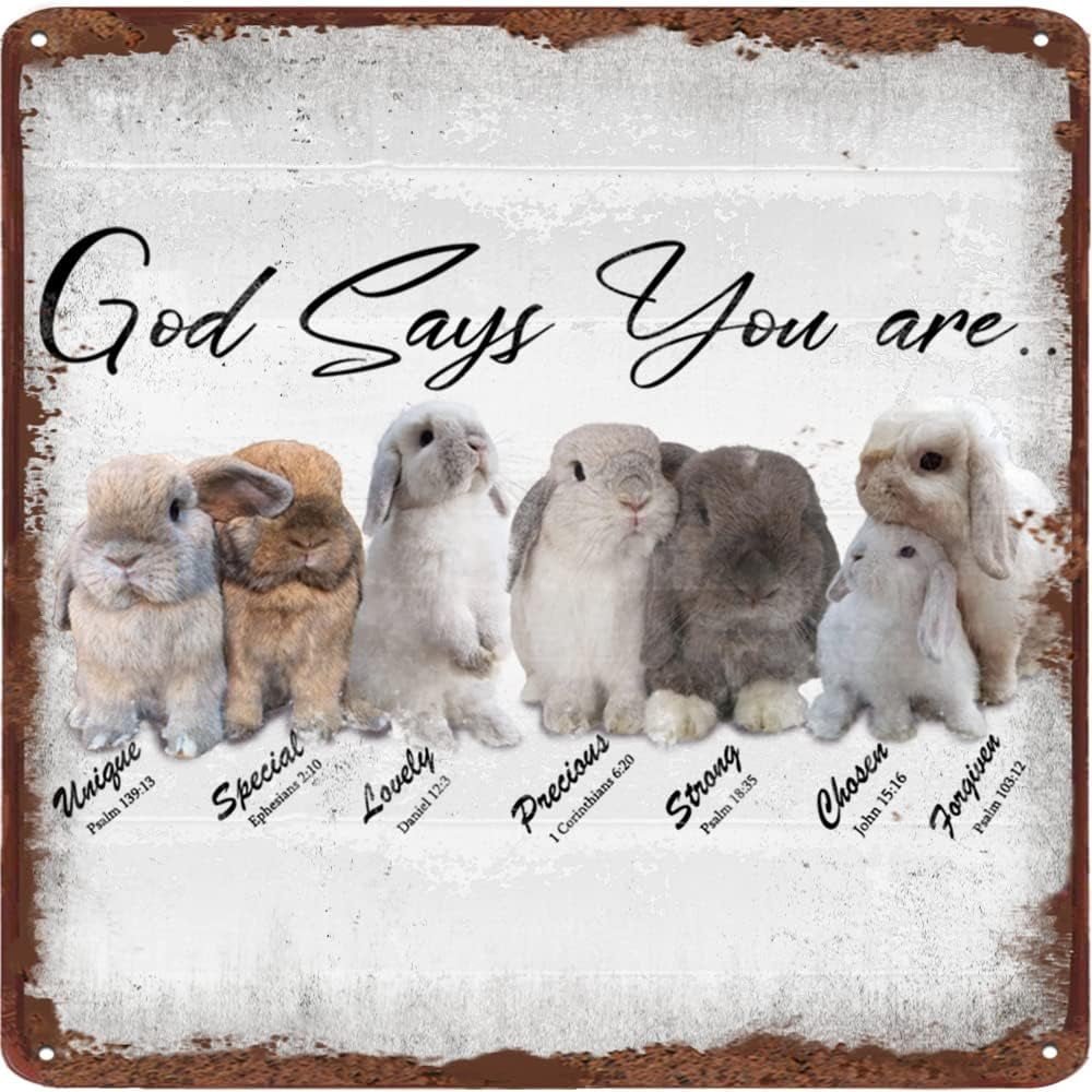 god says you are Rabbit Vintage Tin Sign - Inspirational Quote Sign ...