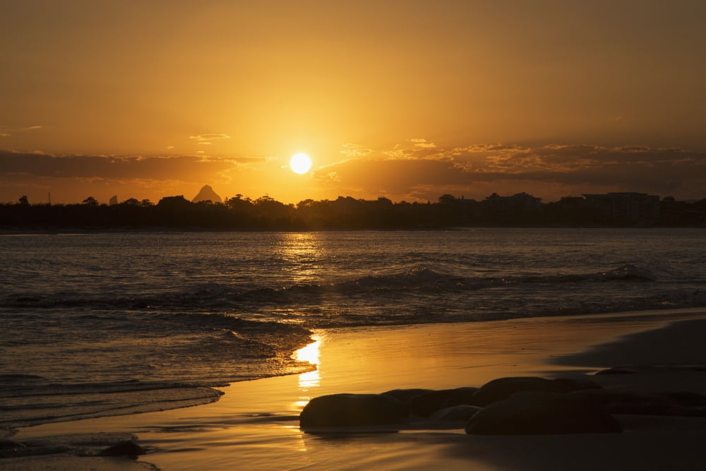 A golden sun sets over silhouetted trees and reflects on the wet beach along the coast Caloundra Queensland Australia Canvas Art - John Short Design Pics (19 x 12)