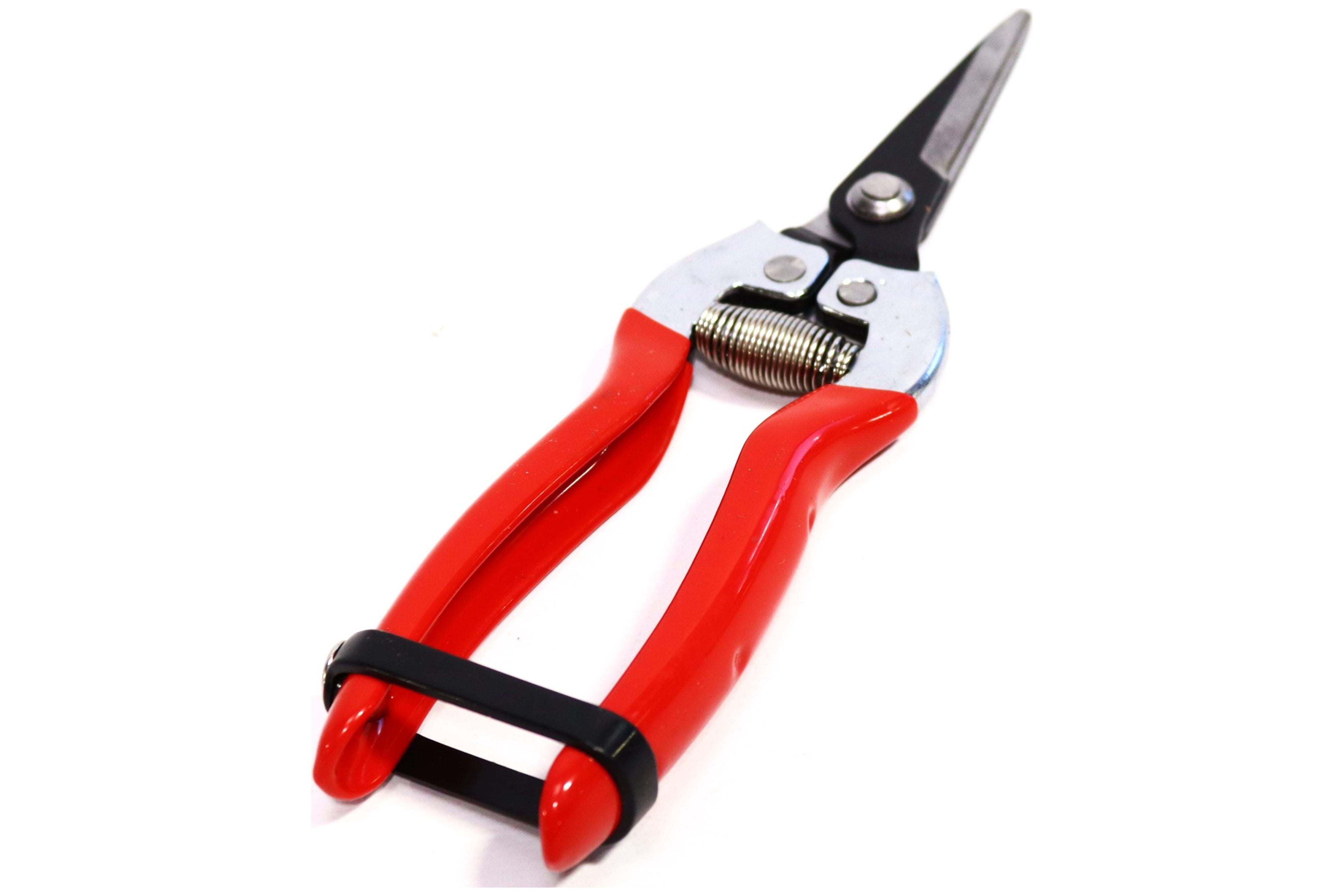 gonicc Professional MicroTip Pruning Snip (GPPS1008), Small Garden