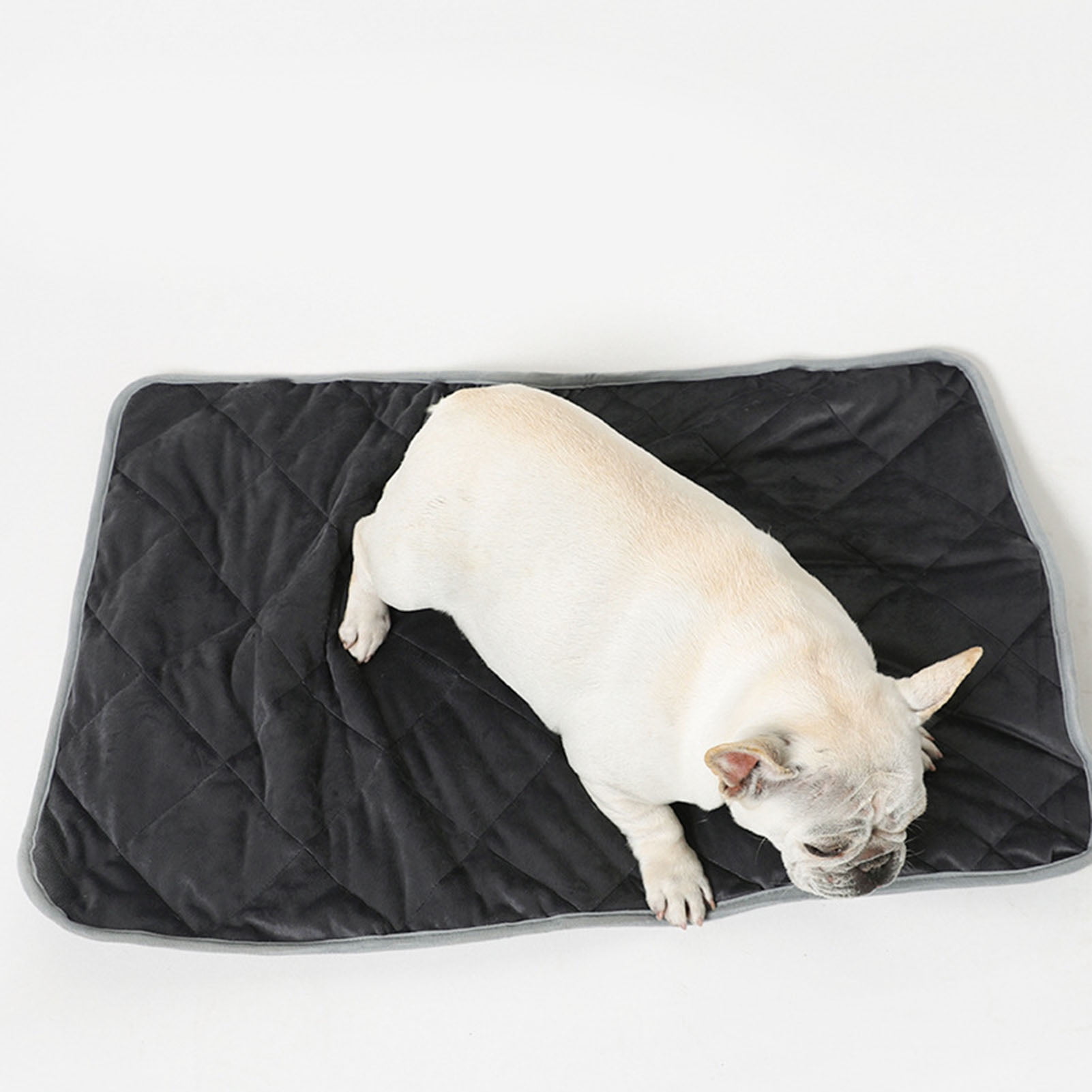 Resistant fabric for dogs top