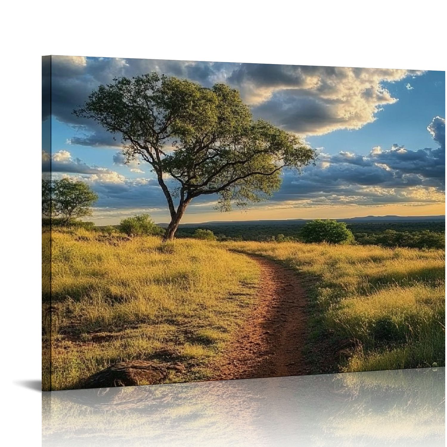 gouleft Large Canvas Wall Art Bushland joffre karijini national