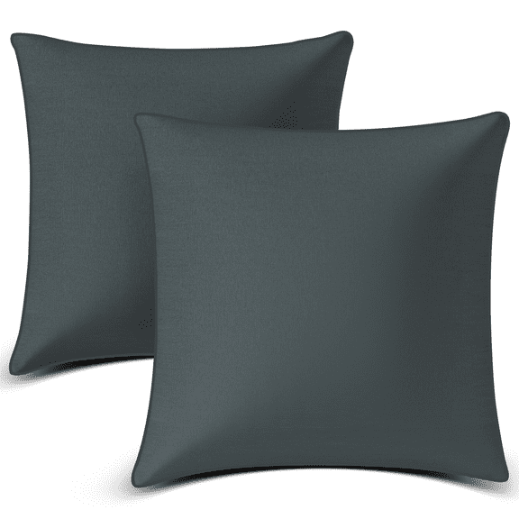 18"x18" Throw Pillow Inserts, Set of 2 Square Pillows Premium Down Alternative Pillow Inserts Decorative Pillow Stuffer for Sofa, Couch, Gray