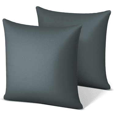18" x 18" Throw Pillow Insert, Pack of 2 Down Alternative Square Pillows, Hypoallergenic & Supportive Decorative Pillows for Bedroom Living Room Holiday