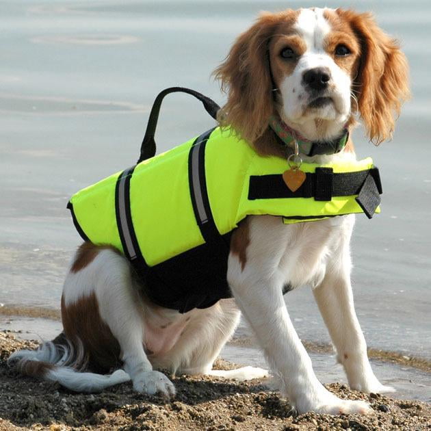 (green M) Dog life jacket reflective dog lifejacket for maximum